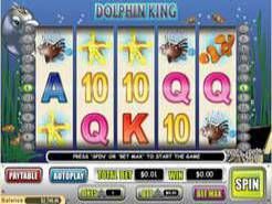 Dolphin King